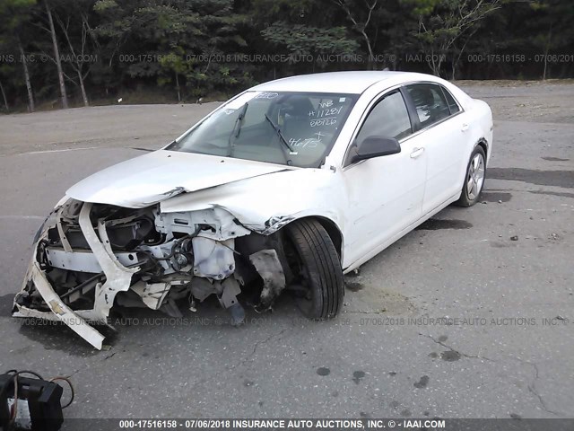 1G1ZA5E0XCF394675 - 2012 CHEVROLET MALIBU LS WHITE photo 2