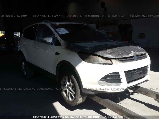 1FMCU9JX4EUB37424 - 2014 FORD ESCAPE TITANIUM WHITE photo 1