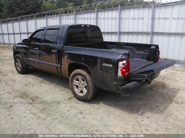 1D7RW3GKXBS614310 - 2011 DODGE DAKOTA SLT BLACK photo 3