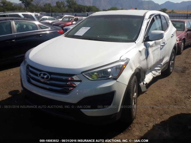 5XYZT3LB2GG375552 - 2016 HYUNDAI SANTA FE SPORT  WHITE photo 2