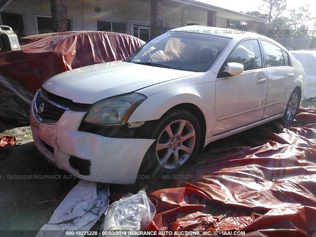 1N4BA41E67C820377 - 2007 NISSAN MAXIMA SE/SL WHITE photo 2