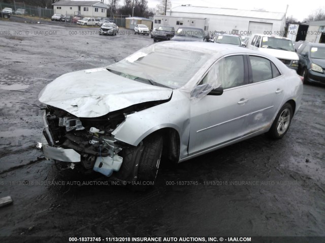 1G11B5SL9EF159700 - 2014 CHEVROLET MALIBU LS 银色 照片 2