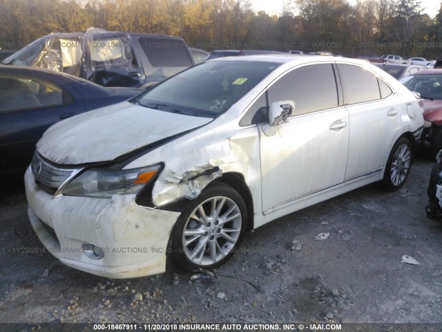 JTHBB1BA1A2007736 - 2010 LEXUS HS 250H WHITE photo 2