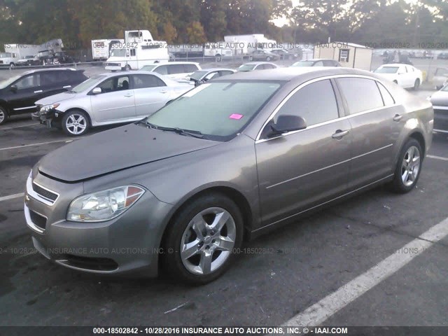 1G1ZB5EB4AF285284 - 2010 CHEVROLET MALIBU LS ნაცრისფერი ფოტო 2