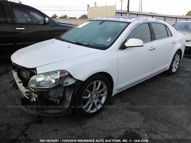 1G1ZK57B29F151320 - 2009 CHEVROLET MALIBU LTZ თეთრი ფოტო 2