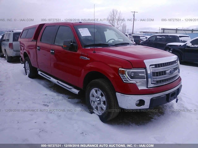 1FTFW1EF9EFB86461 - 2014 FORD F150 SUPERCREW RED photo 1