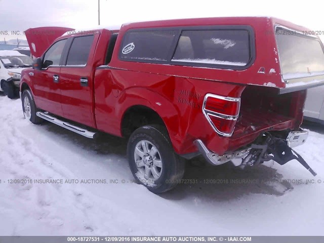 1FTFW1EF9EFB86461 - 2014 FORD F150 SUPERCREW RED photo 3