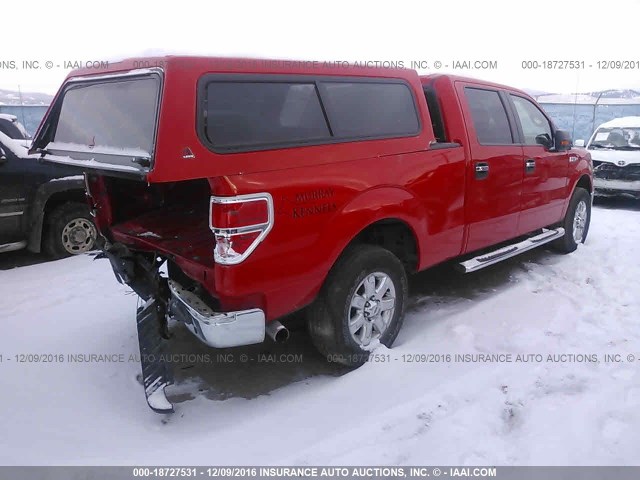 1FTFW1EF9EFB86461 - 2014 FORD F150 SUPERCREW RED photo 4
