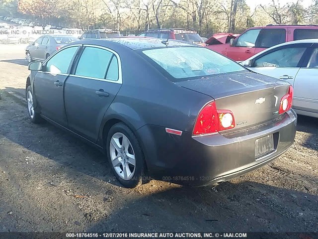 1G1ZA5EU8BF241147 - 2011 CHEVROLET MALIBU LS Boz foto 3