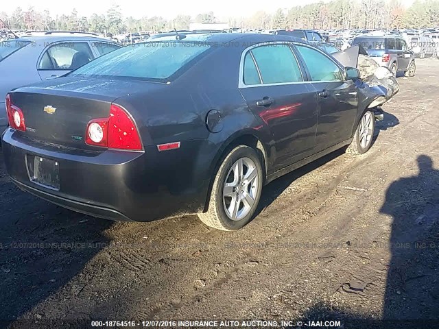 1G1ZA5EU8BF241147 - 2011 CHEVROLET MALIBU LS Boz foto 4