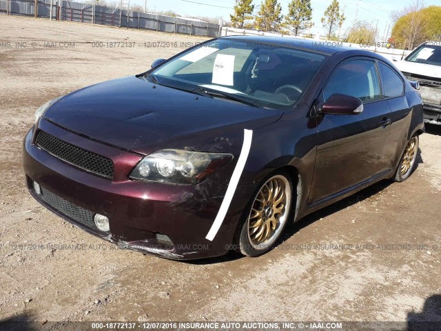 JTKDE3B79A0309393 - 2010 TOYOTA SCION TC 紫色 照片 2
