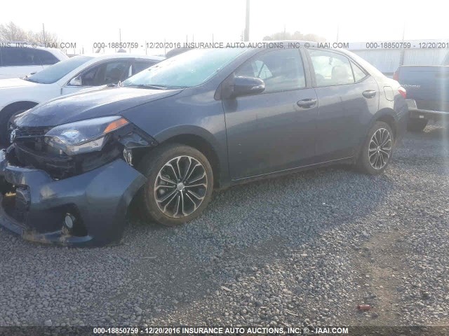 5YFBURHE2FP352464 - 2015 TOYOTA COROLLA L/LE/LE PLS/PRM/S/S PLS BLUE photo 2