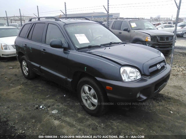 KM8SC13D65U956146 - 2005 HYUNDAI SANTA FE GLS/LX GRAY photo 1