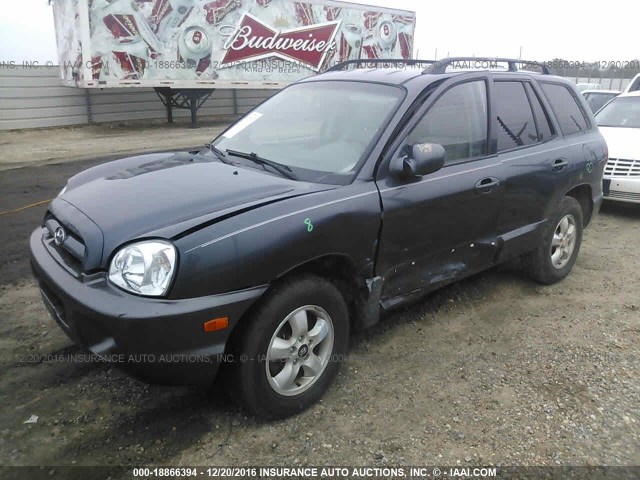 KM8SC13D65U956146 - 2005 HYUNDAI SANTA FE GLS/LX GRAY photo 2