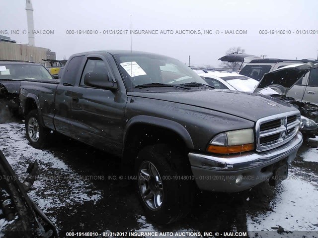 1D7HG42K54S712282 - 2004 DODGE DAKOTA SLT GRAY photo 1