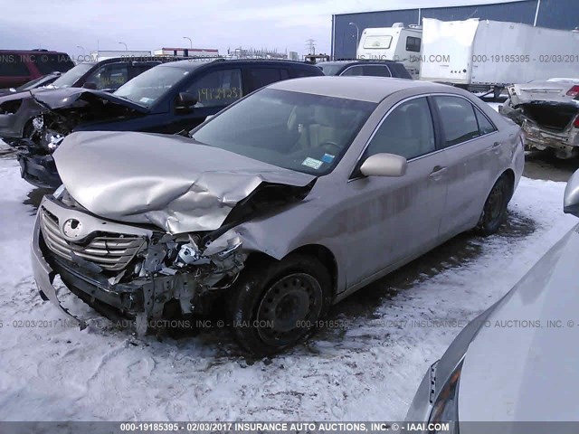 4T4BE46K79R119424 - 2009 TOYOTA CAMRY SE/LE/XLE GOLD photo 2