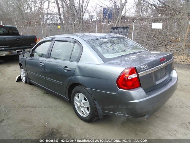 1G1ZT54835F318171 - 2005 CHEVROLET MALIBU LS 灰色 照片 3