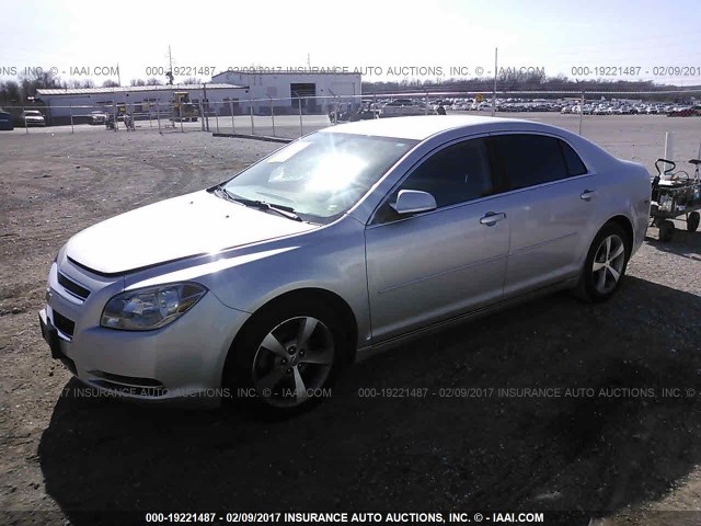 1G1ZC5EU4BF272454 - 2011 CHEVROLET MALIBU 1LT 银色 照片 2