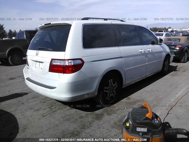 5FNRL38666B419358 - 2006 HONDA ODYSSEY EXL WHITE photo 4