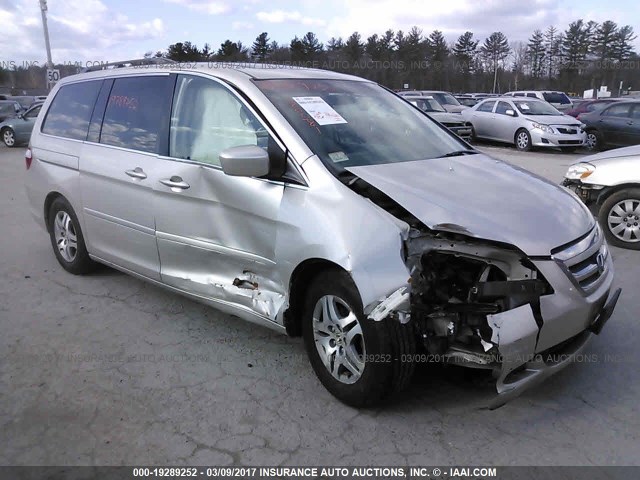 5FNRL38656B442999 - 2006 HONDA ODYSSEY EXL GRAY photo 1