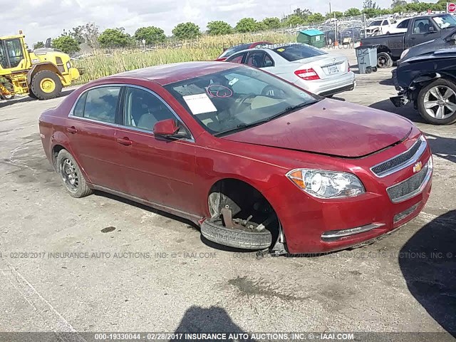 1G1ZC5E17BF276116 - 2011 CHEVROLET MALIBU 1LT RED photo 1