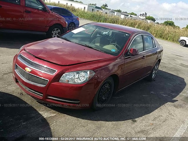 1G1ZC5E17BF276116 - 2011 CHEVROLET MALIBU 1LT RED photo 2