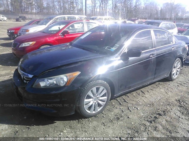 1HGCP2F8XBA004377 - 2011 HONDA ACCORD EXL BLACK photo 2