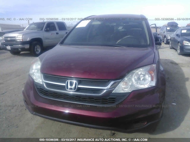 5J6RE3H45BL006860 - 2011 HONDA CR-V SE RED photo 6