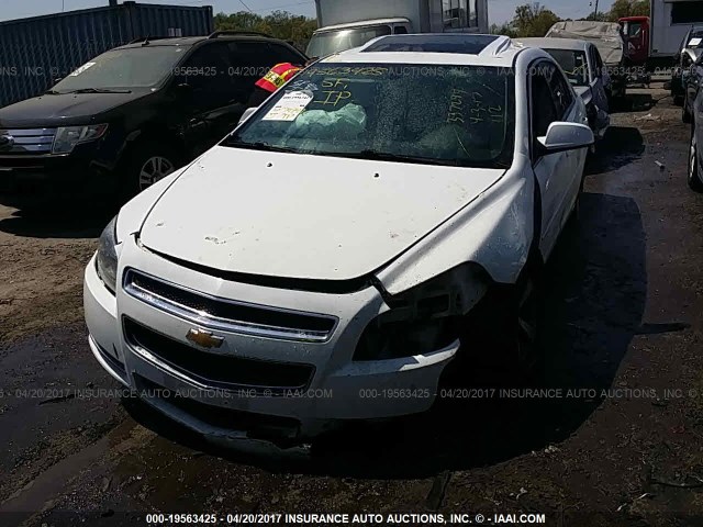 1G1ZC5E14BF368820 - 2011 CHEVROLET MALIBU 1LT 白色 照片 2