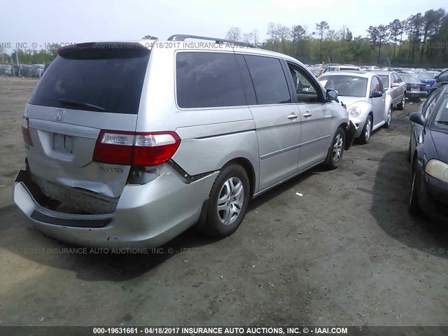 5FNRL38765B011644 - 2005 HONDA ODYSSEY EXL ვერცხლისფერი ფოტო 4
