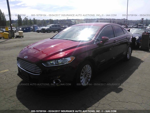 3FA6P0LU4GR343270 - 2016 FORD FUSION SE HYBRID RED photo 2