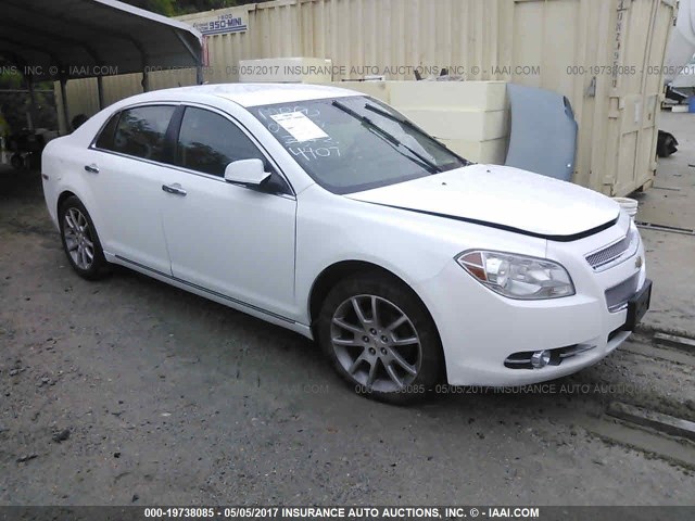 1G1ZE5EU7BF334407 - 2011 CHEVROLET MALIBU LTZ 白色 照片 1