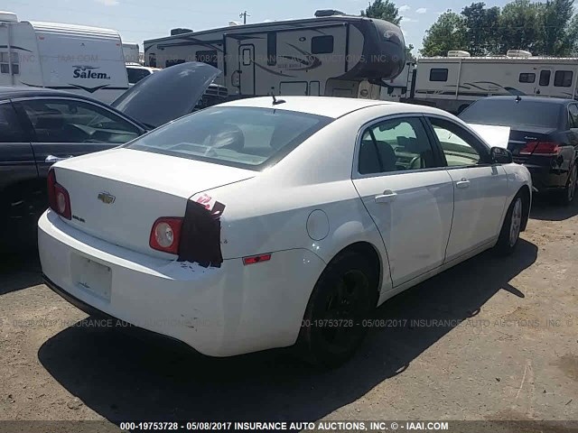 1G1ZB5E17BF102100 - 2011 CHEVROLET MALIBU LS თეთრი ფოტო 4