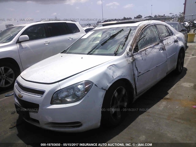 1G1ZC5EU4CF252402 - 2012 CHEVROLET MALIBU 1LT 白色 照片 2
