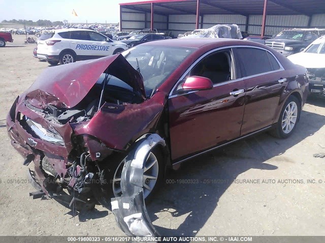1G1ZE5E19BF325441 - 2011 CHEVROLET MALIBU LTZ 栗色 照片 2