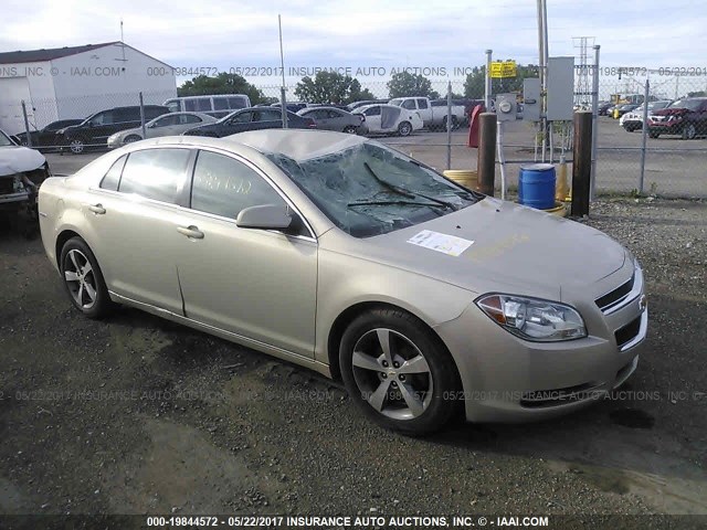 1G1ZC5E16BF180705 - 2011 CHEVROLET MALIBU 1LT 香槟色 照片 1