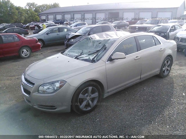 1G1ZC5E16BF180705 - 2011 CHEVROLET MALIBU 1LT 香槟色 照片 2