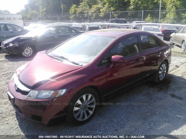 2HGFA16929H359265 - 2009 HONDA CIVIC EXL 栗色 照片 2