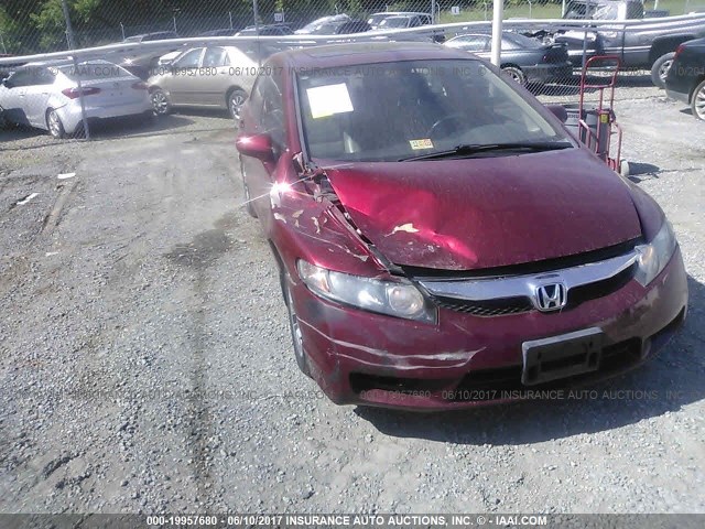 2HGFA16929H359265 - 2009 HONDA CIVIC EXL 栗色 照片 6