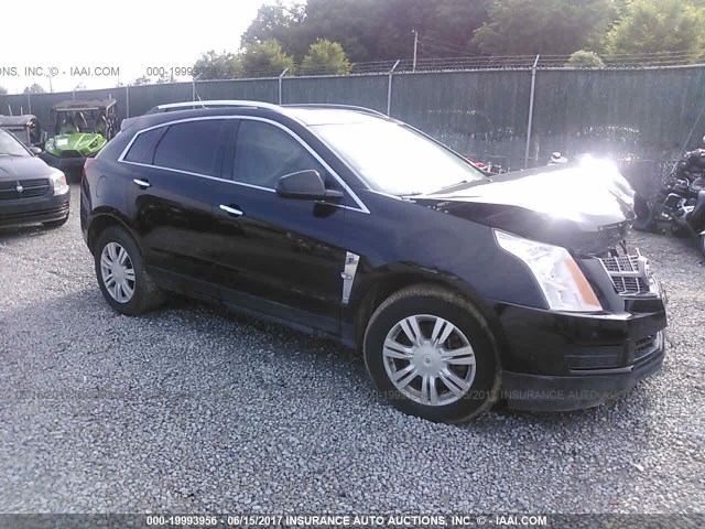 3GYFNDEY9AS545782 - 2010 CADILLAC SRX LUXURY COLLECTION BLACK photo 1