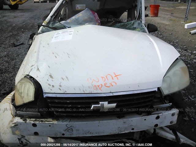 1G1ZS53886F250844 - 2006 CHEVROLET MALIBU LS 白色 照片 10