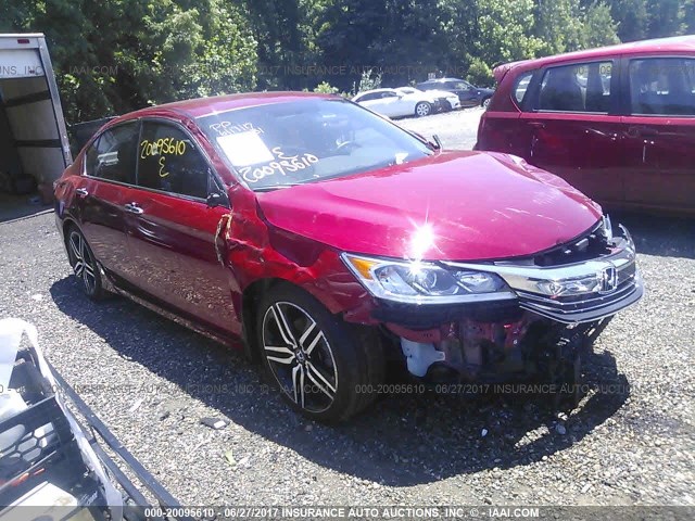 1HGCR2F55GA150905 - 2016 HONDA ACCORD SPORT წითელი ფოტო 1