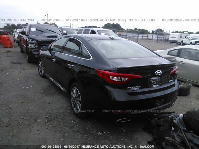 5NPE34AF8GH327492 - 2016 HYUNDAI SONATA SPORT/LIMITED BLACK photo 3