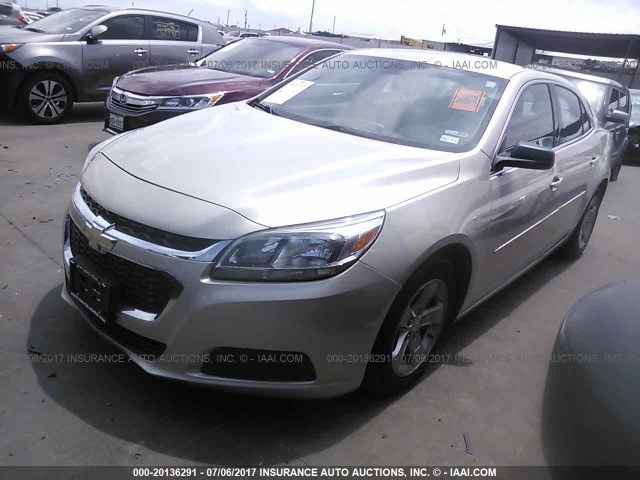 1G11B5SL8EF241708 - 2014 CHEVROLET MALIBU LS 米色 照片 2