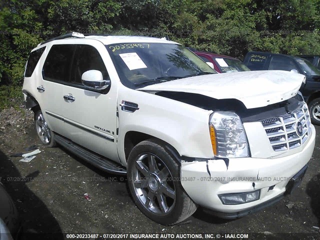 1GYFK63827R348746 - 2007 CADILLAC ESCALADE LUXURY أبيض صورة 1