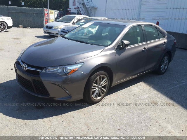 4T1BF1FK8HU618544 - 2017 TOYOTA CAMRY LE/XLE/SE/XSE GRAY photo 2