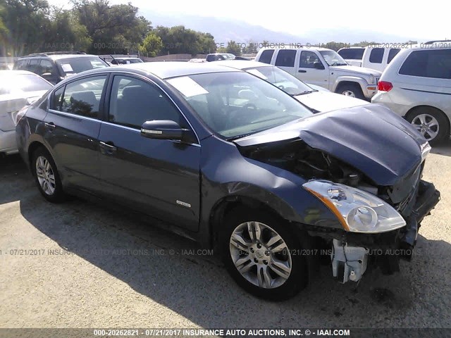 1N4CL2AP5AC107949 - 2010 NISSAN ALTIMA HYBRID GRAY photo 1