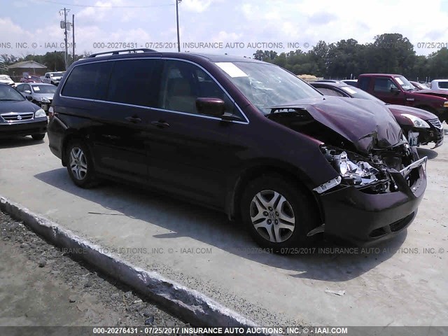 5FNRL38697B418674 - 2007 HONDA ODYSSEY EXL მუქწითელი ფოტო 1