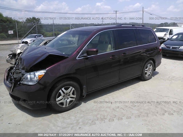 5FNRL38697B418674 - 2007 HONDA ODYSSEY EXL მუქწითელი ფოტო 2