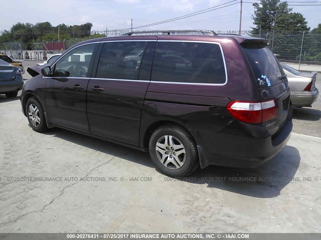 5FNRL38697B418674 - 2007 HONDA ODYSSEY EXL მუქწითელი ფოტო 3
